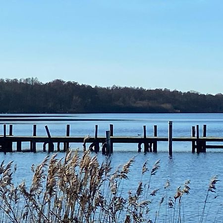 Tiwu - Ferienwohnungen Steinhude Exteriör bild